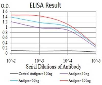 ELISA: PXR/NR1I2 Antibody (6H11D8) [NBP2-61817] - Black line: Control Antigen (100 ng);Purple line: Antigen (10ng); Blue line: Antigen (50 ng); Red line:Antigen (100 ng)