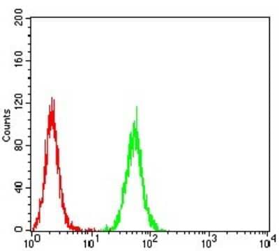 ELISA: PXR/NR1I2 Antibody (6H11D8) [NBP2-61817] - Analysis of HepG2 cells using NR1I2 mouse mAb (green) and negative control (red).