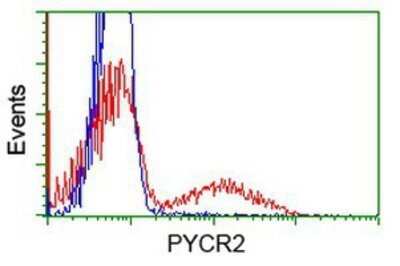 Flow Cytometry: PYCR2 Antibody (OTI3D1) - Azide and BSA Free [NBP2-73743] - HEK293T cells transfected with either overexpression plasmid (Red) or empty vector control plasmid (Blue) were immunostaining by anti-PYCR2 antibody, and then analyzed by flow cytometry.