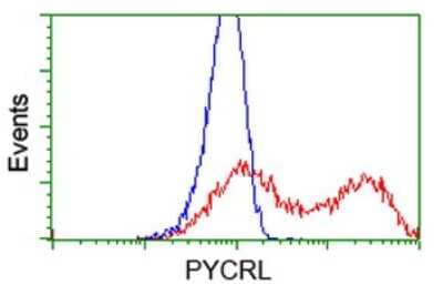 Flow Cytometry: PYCRL Antibody (OTI1B12) [NBP2-03337] - HEK293T cells transfected with either PYCRL Human Tagged ORF Clone overexpress plasmid (Red) or empty vector control plasmid (Blue) were immunostained by anti-PYCRL antibody , and then analyzed by flow cytometry.
