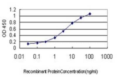 Sandwich ELISA: PYK2/FAK2 Antibody (X1) [H00002185-M03] - Detection limit for recombinant GST tagged PTK2B is approximately 0.1ng/ml as a capture antibody.