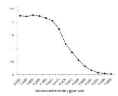 ELISA: Pancreatic Amylase Alpha Antibody (RPA-B5) [NBP1-50750] - Serial dilution of the antibody, starting with 2 ug/well was done to check for the affinity. 1 ug of coated antigen can be sensitively detected by anti-rat Pancreatic Amylase antibody, clone B5 used at 30 pg/well concentration.