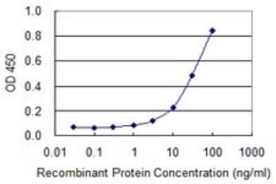 ELISA: Pancreatic Amylase Beta Antibody (2B12) [H00000280-M01] - Detection limit for recombinant GST tagged AMY2B is 1 ng/ml as a capture antibody.