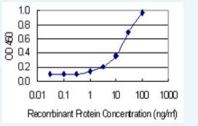 ELISA: Pannexin-2 Antibody (2B11) [H00056666-M02-100ug] - Detection limit for recombinant GST tagged PANX2 is 0.3 ng/ml as a capture antibody.