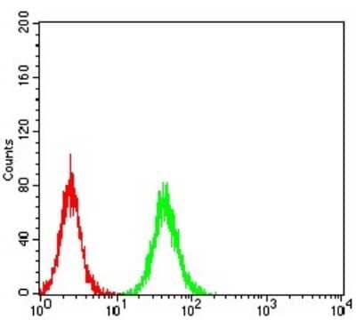 Flow Cytometry: Parvovirus  NS1 Antibody (8E6E10) [NBP2-61903] - Analysis of K562 cells using NS1 mouse mAb (green) and negative control (red).