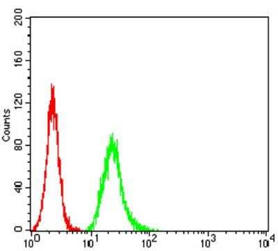 Flow Cytometry: Parvovirus  NS1 Antibody (8E6E10) [NBP2-61903] - Analysis of Hela cells using NS1 mouse mAb (green) and negative control (red).