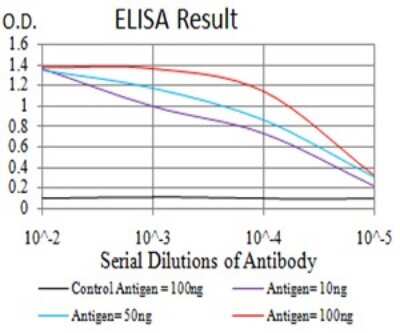 ELISA: Parvovirus  NS1 Antibody (8E6H12) [NBP2-61904] - Black line: Control Antigen (100 ng);Purple line: Antigen (10ng); Blue line: Antigen (50 ng); Red line:Antigen (100 ng)