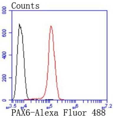 Flow Cytometry: Pax6 Antibody (SD081-03) [NBP2-67789] - Analysis of SH-SY-5Y cells with PAX6 antibody at 1/50 dilution (red) compared with an unlabelled control (cells without incubation with primary antibody; black). Alexa Fluor 488-conjugated goat anti rabbit IgG was used as the ssecondary antibody