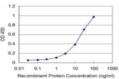 ELISA: Pbx3 Antibody (2E12) [H00005090-M03] - Detection limit for recombinant GST tagged PBX3 is approximately 3ng/ml as a capture antibody.