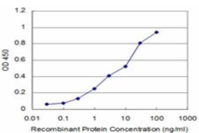 Sandwich ELISA: Pentraxin 3/TSG-14 Antibody (5B7) [H00005806-M01] - Detection limit for recombinant GST tagged PTX3 is approximately 0.3ng/ml as a capture antibody.