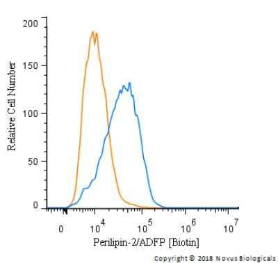 Flow Cytometry: Perilipin-2/ADFP Antibody [NB110-40878] - An intracellular stain was performed on HepG2 cells with Perilipin-2 Antibody NB110-40878B (blue) and a matched isotype control (orange). Both antibodies were conjugated to Biotin. Cells were fixed with 4% PFA and then permeabilized with 0.1% saponin. Cells were incubated in an antibody dilution of 2.5 ug/mL for 30 minutes at room temperature, followed by Streptavidin - R-Phycoerythrin Protein (2012-1000, Novus Biologicals).