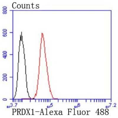 Flow Cytometry: Peroxiredoxin 1 Antibody (JF0945) [NBP2-67042] - Analysis of Hela cells with Peroxiredoxin 1 antibody at 1/50 dilution (red) compared with an unlabelled control (cells without incubation with primary antibody; black). Alexa Fluor 488-conjugated goat anti rabbit IgG was used as the secondary antibody