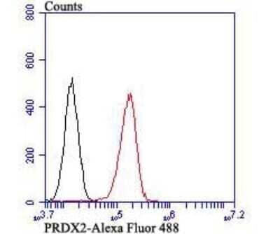 Flow Cytometry: Peroxiredoxin 2 Antibody (7F4) [NBP2-75614] - Analysis of PC-3M cells with Peroxiredoxin 2 antibody at 1/100 dilution (red) compared with an unlabelled control (cells without incubation with primary antibody; black). Alexa Fluor 488-conjugated goat anti-mouse IgG was used as the secondary antibody.