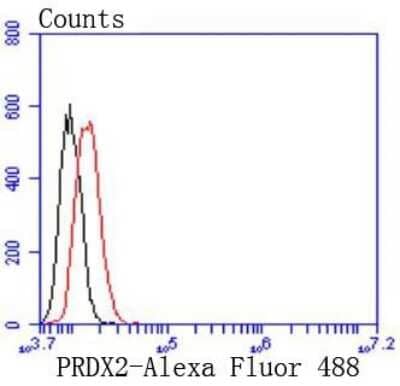 Flow Cytometry: Peroxiredoxin 2 Antibody (JJ090-3) [NBP2-67887] - Analysis of Hela cells with Peroxiredoxin 2 antibody at 1/50 dilution (red) compared with an unlabelled control (cells without incubation with primary antibody; black). Alexa Fluor 488-conjugated goat anti rabbit IgG was used as the secondary antibody.