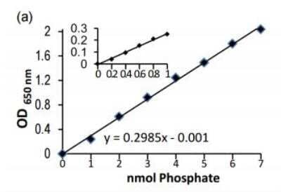 Phosphate Assay Kit (Colorimetric) [KA0815] - The standard curve is for the purpose of illustration only and should not be used to calculate unknowns. A standard curve should be generated each time the assay is performed.