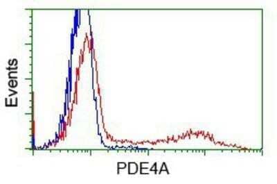 Flow Cytometry: Phosphodiesterase 4A/PDE4A Antibody (OTI1C8) - Azide and BSA Free [NBP2-73376] - HEK293T cells transfected with either overexpression plasmid (Red) or empty vector control plasmid (Blue) were immunostaining by anti-PDE4A antibody, and then analyzed by flow cytometry.
