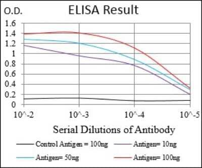 ELISA Phospholipase A2 XII Antibody (3H2C11) - BSA Free