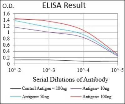 ELISA: Phospholipase A2 XII Antibody (7C7C9) [NBP2-37258] - Red: Control Antigen (100ng); Purple: Antigen (10ng); Green: Antigen (50ng); Blue: Antigen (100ng);