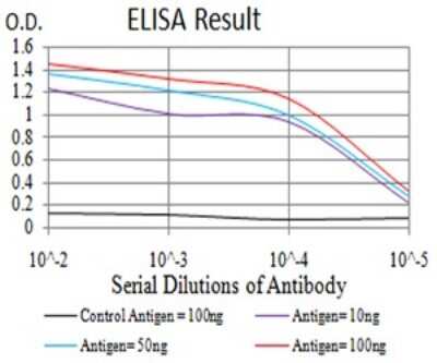 ELISA: Phospholipase D2 Antibody (8G1G2) [NBP2-61785] - Black line: Control Antigen (100 ng);Purple line: Antigen (10ng); Blue line: Antigen (50 ng); Red line:Antigen (100 ng)