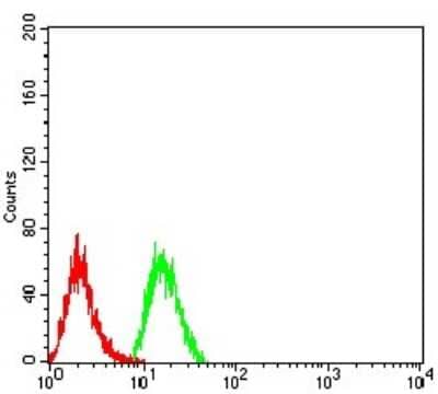 ELISA: Phospholipase D2 Antibody (8G1G2) [NBP2-61785] - Analysis of Hela cells using PLD2 mouse mAb (green) and negative control (red).