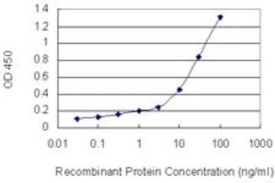 Sandwich ELISA: Pinin Antibody (2B4) [H00005411-M01] - Detection limit for recombinant GST tagged PNN is 0.1 ng/ml as a capture antibody.