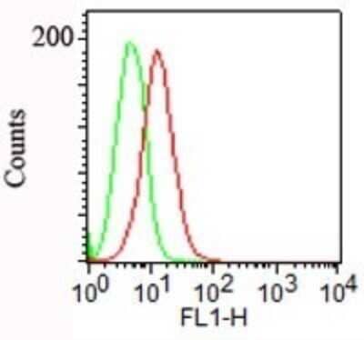 Flow Cytometry: Podocalyxin Like Antibody (3D3) - Azide and BSA Free [NBP2-33108] - Surface staining of NCCIT cells using Podocalyxin antibody at 1 ug/10^6 cells. A FITC-conjugated anti mouse Ig secondary antibody was used along with this antibody .