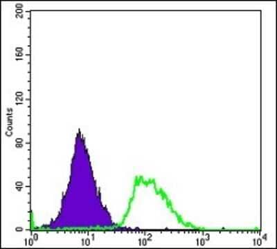 Flow Cytometry: Podocalyxin Like Antibody (5F5) [NBP2-37605] - Flow cytometric analysis of Hela cells using PODXL mouse mAb (green) and negative control (purple).