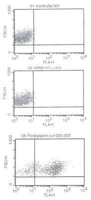 Flow Cytometry: Podoplanin Antibody (18H5) [Biotin] [NBP1-18600] - Analysis with primary human dermal microvascular endothelial cells (HDMVEC). Upper panel: no primary antibody; Middle panel: solely conjugated secondary antibody; Lower panel: Biotin-conjugated anti-human Podoplanin.