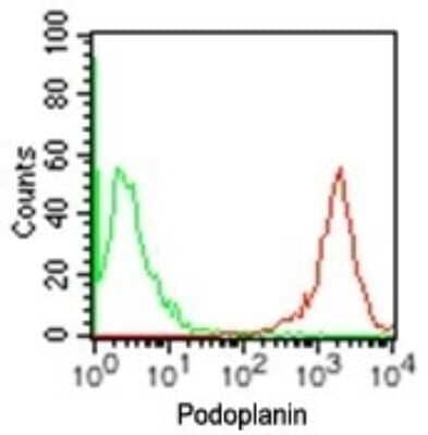 Flow Cytometry: Podoplanin Antibody (NZ-1.2) - Azide Free [NBP2-03954] - Analysis using Podoplanin antibody. Human NCCIT cells were probed using 0.2 ug of Podoplanin antibody (red) and 0.2 ug of isotype control antibody (green). Flow kit and anti-rat PE secondary this antibody were used for this test.