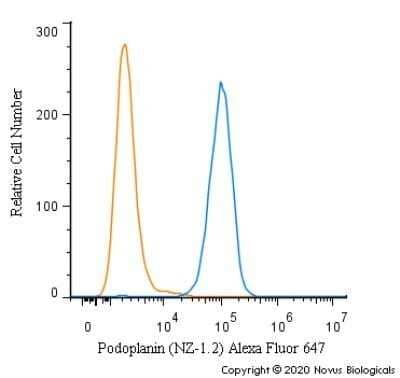 Flow Cytometry: Podoplanin Antibody (NZ-1.2) - Azide Free [NBP2-03954] - A surface stain was performed on Ntera2 cells with Podoplanin Antibody (NZ-1.2) NBP2-03952AF647 (blue) and a matched isotype control (orange). Cells were incubated in an antibody dilution of 2.5 ug/mL for 20 minutes at room temperature. Both antibodies were directly conjugated to Alexa Fluor 647.