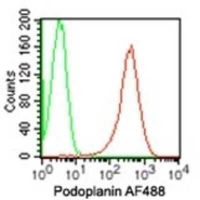 Flow Cytometry: Podoplanin Antibody (NZ-1.2) - Azide Free [NBP2-03954] - Analysis using the Alexa Fluor (R) 488 conjugate of NBP2-03952. Staining using Podoplanin antibody. Human NCCIT cells were probed using 10 ul (0.15 ug) of Podoplanin antibody (red) and 0.15 ug of isotype control antibody (green).