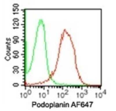 Flow Cytometry: Podoplanin Antibody (NZ-1.2) - Azide Free [NBP2-03954] - Analysis using the Alexa Fluor (R) 647 conjugate of NBP2-03952. Staining using Podoplanin antibody. Human NCCIT cells were probed using 10 ul (0.15 ug) of Podoplanin antibody (red) and 0.15 ug of isotype control antibody (green).