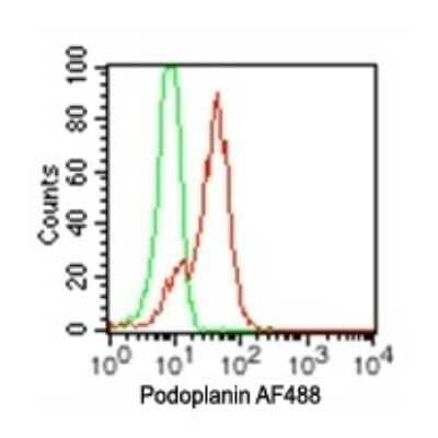 Flow Cytometry: Podoplanin Antibody (pmab-1) - Azide and BSA Free [NBP2-80917] - Analysis using the Alexa Fluor (R) 488 conjugate of NBP2-03955. Staining using podoplanin antibody. Mouse LLC1 cells were probed using 0.5 ug of podoplanin antibody (red) and 0.5 ug of isotype control antibody (green).