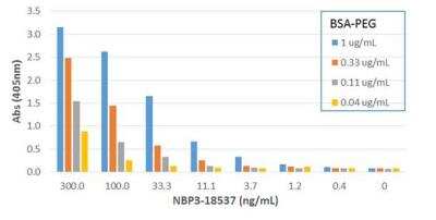 ELISA: Polyethylene Glycol Antibody (RM105) [Biotin] [NBP3-18537] - The ELISA plate was coated with 50 uL/well of BSA-PEG at 1 ug/mL, 0.33 ug/mL, 0.11 ug/mL, and 0.04 ug/mL. Different concentrations of Biotinylated NBP3-18537 was used as the primary antibody, followed by an AP conjugated Streptavidin.
