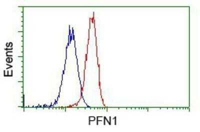 Flow Cytometry: Profilin 1 Antibody (OTI1D5) - Azide and BSA Free [NBP2-73605] - Analysis of Hela cells, using anti-Profilin 1 antibody, (Red), compared to a nonspecific negative control antibody (Blue).