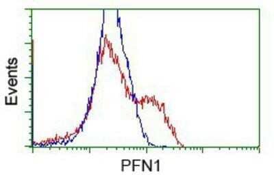 Flow Cytometry: Profilin 1 Antibody (OTI1D5) - Azide and BSA Free [NBP2-73605] - HEK293T cells transfected with either overexpression plasmid (Red) or empty vector control plasmid (Blue) were immunostaining by anti-Profilin 1 antibody, and then analyzed by flow cytometry.