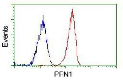 Flow Cytometry: Profilin 1 Antibody (OTI1D5) - Azide and BSA Free [NBP2-73605] - Analysis of Jurkat cells, using anti-Profilin 1 antibody, (Red), compared to a nonspecific negative control antibody (Blue).