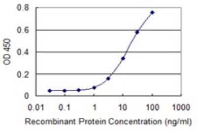 Sandwich ELISA: Proteasome 19S S7 Antibody (4C10-2C8) [H00005701-M01] - Detection limit for recombinant GST tagged PSMC2 is 0.3 ng/ml as a capture antibody.