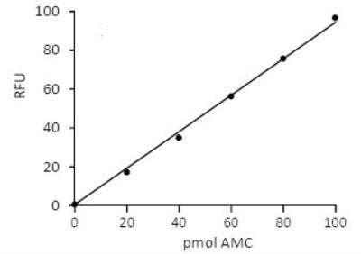 Proteasome 20S C2 Assay Kit (Fluorometric) [KA1431] - The standard curve is for the purpose of illustration only and should not be used to calculate unknowns. A standard curve should be generated each time the assay is performed.