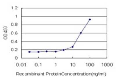 Sandwich ELISA: Proteasome 20S beta 6 Antibody (2A3-5A8) [H00005694-M01] - Detection limit for recombinant GST tagged PSMB6 is approximately 3ng/ml as a capture antibody.