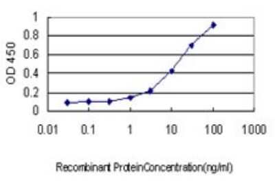 Sandwich ELISA: Proteasome subunit beta type 4 Antibody (6G7-E8) [H00005692-M01] - Detection limit for recombinant GST tagged PSMB4 is approximately 0.3ng/ml as a capture antibody.