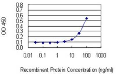 Sandwich ELISA: Protein O-Fucosyltransferase 1/POFUT1 Antibody (3H1) [H00023509-M01] - Detection limit for recombinant GST tagged POFUT1 is 3 ng/ml as a capture antibody.