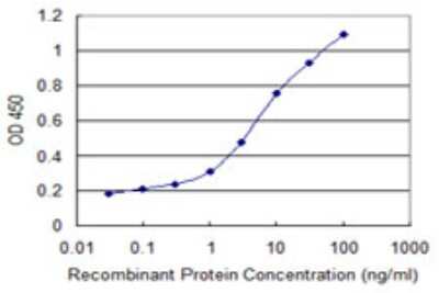 Sandwich ELISA Protocadherin beta 11 Antibody (4F11) - Azide and BSA Free