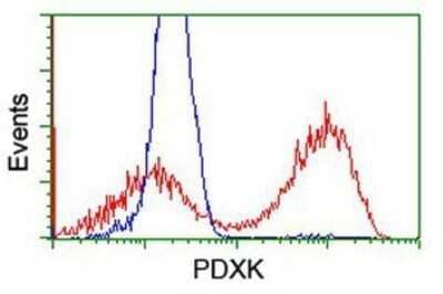 Flow Cytometry: Pyridoxal Kinase/PDXK Antibody (OTI5H5) - Azide and BSA Free [NBP2-73754] - HEK293T cells transfected with either overexpression plasmid (Red) or empty vector control plasmid (Blue) were immunostaining by anti-PDXK antibody, and then analyzed by flow cytometry.