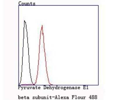 Flow Cytometry: Pyruvate Dehydrogenase E1 beta subunit Antibody (JM66-33) [NBP2-75639] - Analysis of Hela cells with Pyruvate Dehydrogenase E1 beta subunit antibody at 1/100 dilution (red) compared with an unlabelled control (cells without incubation with primary antibody; black).