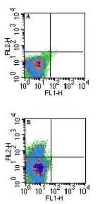 Flow Cytometry: QA1b Antibody (6A8.6F10.1A6) - Azide Free [NBP2-26667] - Flow cytometric analysis of QA1b in unstimulated Balb/c mouse splenocytes using A) isotype control and B) NBP2-26649 (with an anti-mouse IgG1-PE secondary) at 0.25 ug/10^6 cells. A shift is seen in only a small percentage of cells.