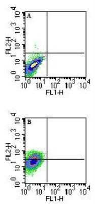 Flow Cytometry: QA1b Antibody (6A8.6F10.1A6) [NBP2-26649] - Analysis of Qa-1b in 72 hour ConA-stimulated Balb/c mouse splenocytes using A) isotype control and B) NBP2-26649 (with an anti-mouse IgG1-PE secondary) at 0.25 ug/10^6 cells. A shift is seen in the entire population of cells Image using the Azide Free form of this antibody.