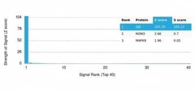 Protein Array: QKI/Quaking Antibody (PCRP-QKI-2F10) - Azide and BSA Free [NBP3-14072] - Analysis of Protein Array containing more than 19,000 full-length human proteins using QKI/Quaking Antibody (PCRP-QKI-2F10).