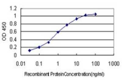 Sandwich ELISA: QPRT Antibody (5D11) [H00023475-M01] - Detection limit for recombinant GST tagged QPRT is approximately 0.03ng/ml as a capture antibody.