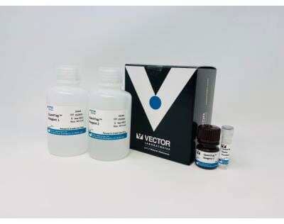 QuantTag Biotin Quantification Kit [BDK-2000-NB]